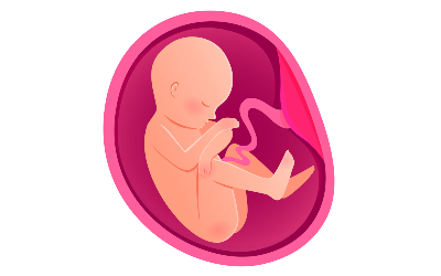 Ayurvedic Approach In Controlling Threatened Abortion