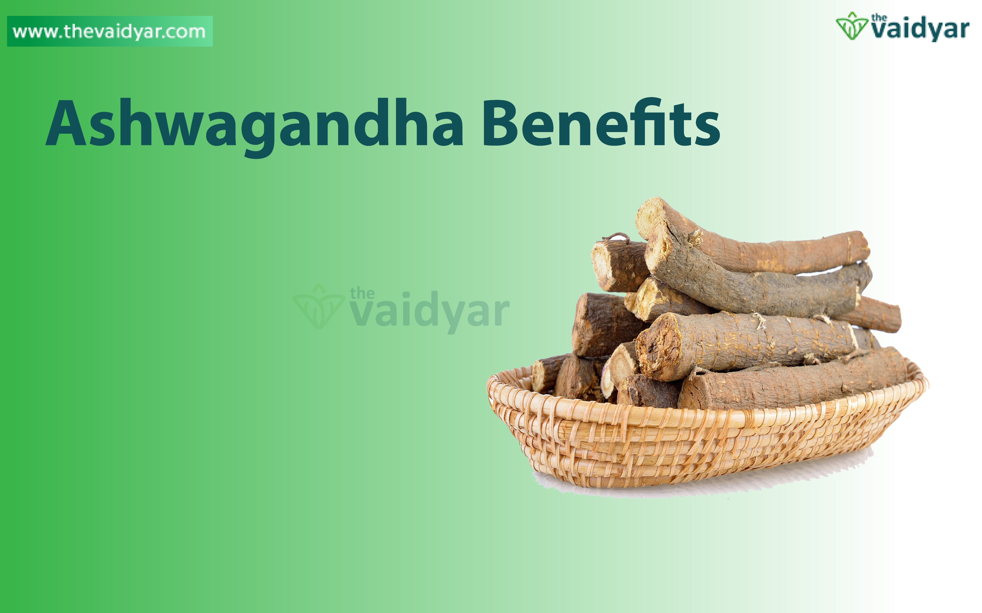 Ashwagandha Ayurvedic Health Benefits photo