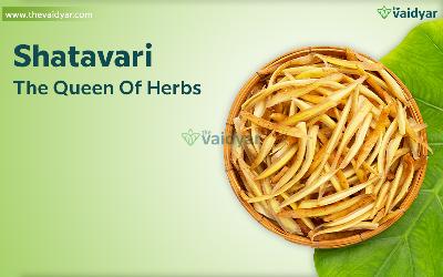 Health Benefits Of Shatavari-The Queen Of Herbs