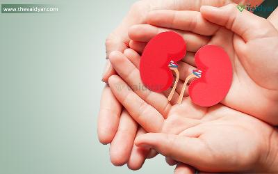 Ayurvedic Detoxification For Kidney Health