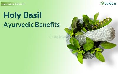 Health Benefits Of Holy Basil (Tulsi)