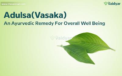Adulsa(Vasaka)-An Ayurvedic Remedy For Overall Well Being