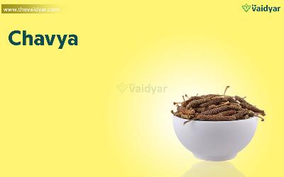 Health Benefits Of Chavya (Piper Retrofractum Vahl)
