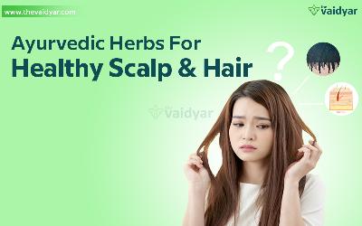 Ayurvedic Herbs For Healthy Scalp And Hair