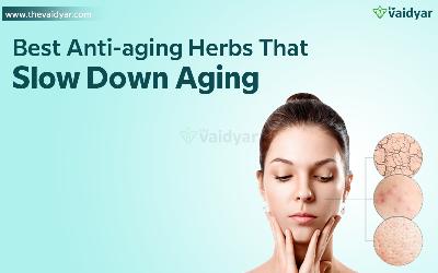 Best Anti-aging Herbs That Slow Down Aging