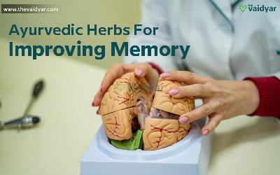 Ayurvedic Herbs For Improving Memory
