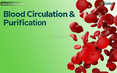 Ayurvedic Tips To Improve Blood Circulation And Purification