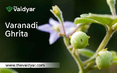 Ingredients, Uses, Dosages, And Side Effects Of Varanadi Ghrita