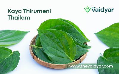 Ayurvedic Usages Of Kaya Thirumeni Thailam