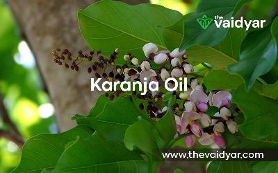 Karanja Oil For The Treatment Of Skin Diseases