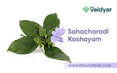 Ingredients, Health Benefits, Dosages, And Side Effects Of Sahacharadi Kashayam