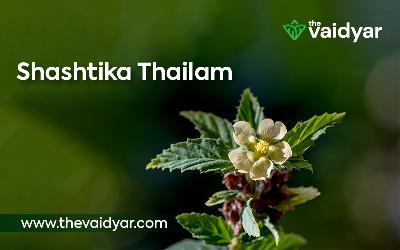 The Role Of Shashtika Thailam In The Treatment Of Degenerative Disorders