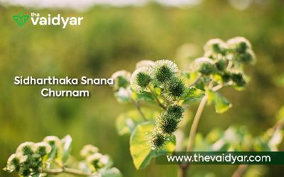 Ayurvedic Benefits Of Sidharthaka Snana Churnam