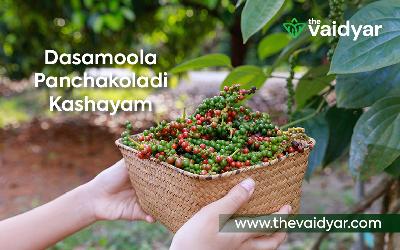 Dasamoola Panchakoladi Kashayam And Ascites