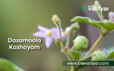 Ayurvedic Benefits Of Dasamoola Kashayam