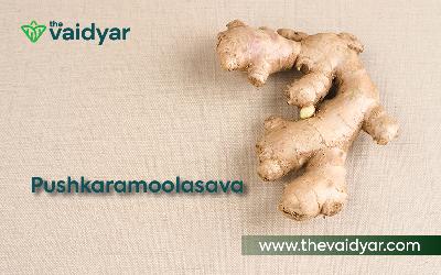 Pushkaramoolasava And Respiratory Diseases