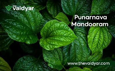 Ayurvedic Benefits Of Punarnava Mandooram