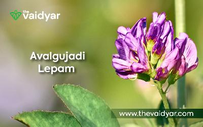 Ayurvedic Advantages Of Avalgujadi Lepam