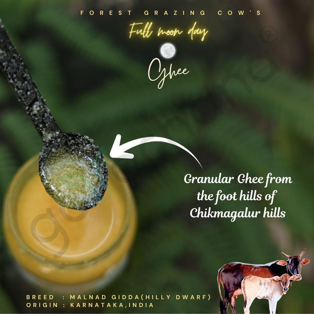 Desi Malnad Gidda A2 Full Moon Day BILONA Forest grazing Cow - 1000 ML 3